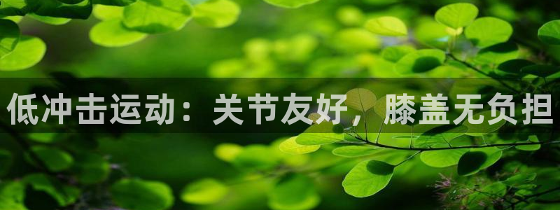 尊龙凯时凯发官网：低冲击运动：关节友好，膝盖无负担