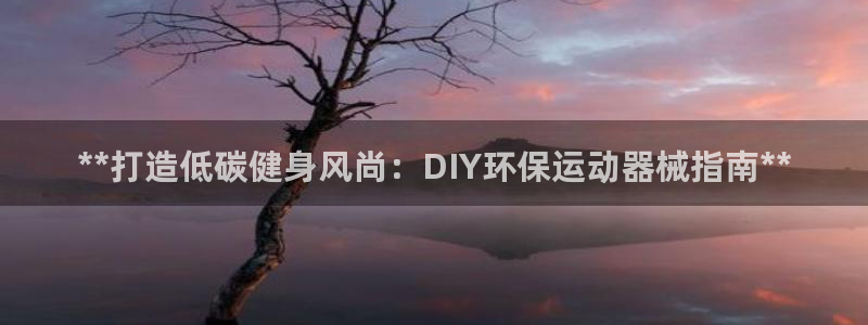 尊龙z6网址：**打造低碳健身风尚：DIY环保运动器