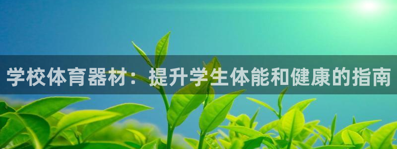 尊龙网址登录官网：学校体育器材：提升学生体能和健康的