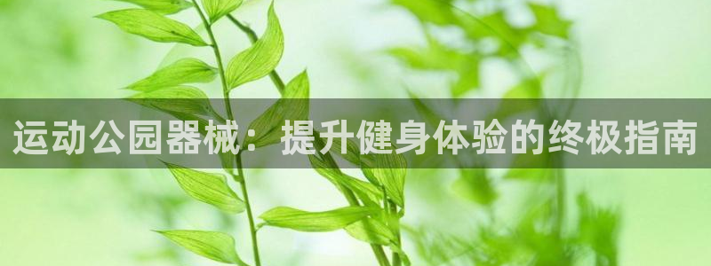 尊龙2021年最新消息：运动公园器械：提升健身体验的