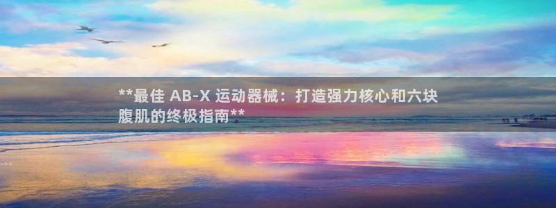 z6com尊龙凯时百家乐下载：**最佳 AB-X 运